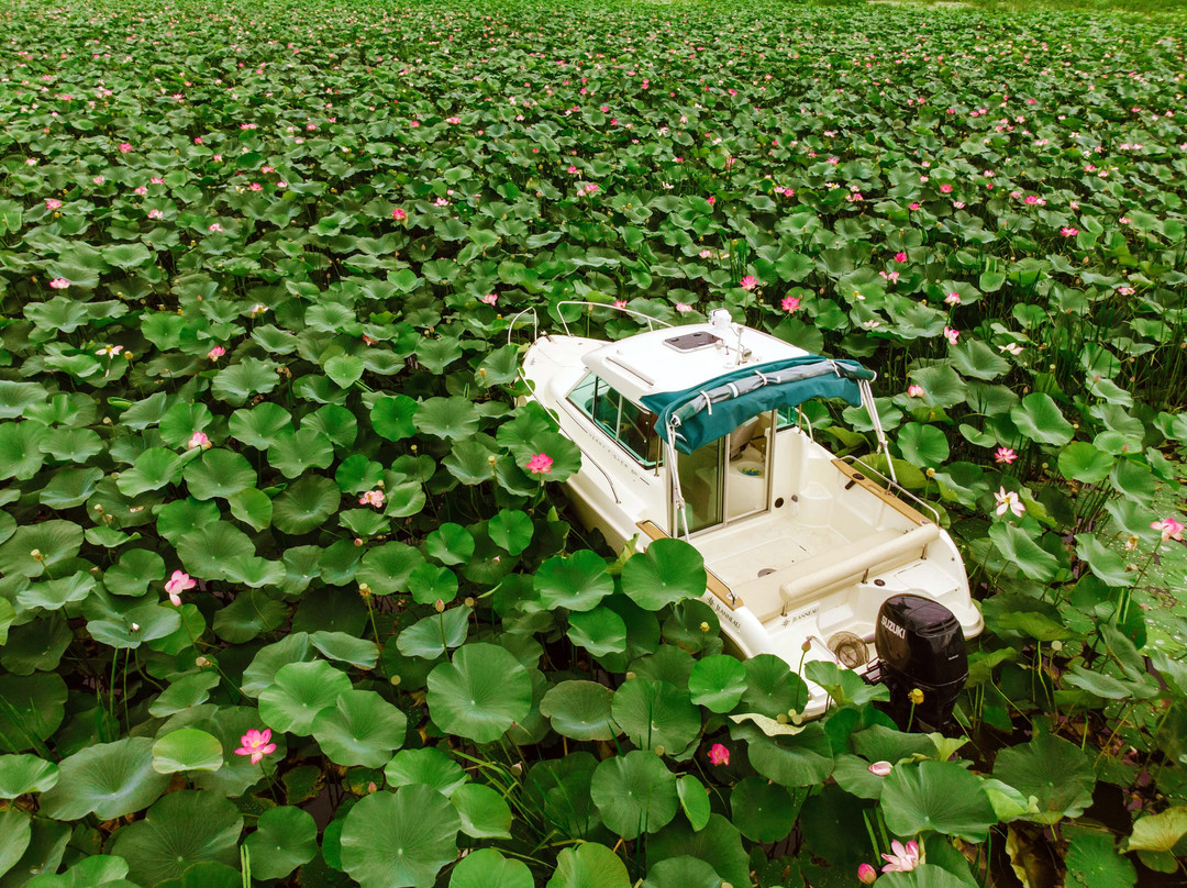 Fish Factory Hotel主图