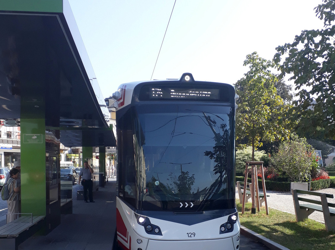 Historische Traunseebahn景点图片