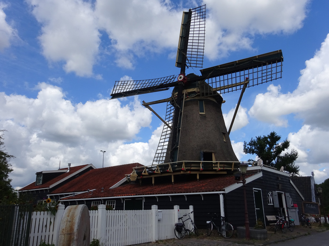 Amsterdam En Bicicleta-阿姆斯特丹必去景点