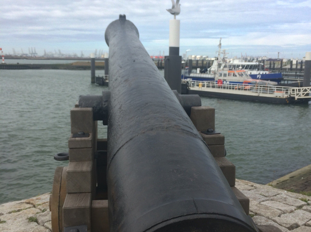 Fast Ferry harbour tours景点图片