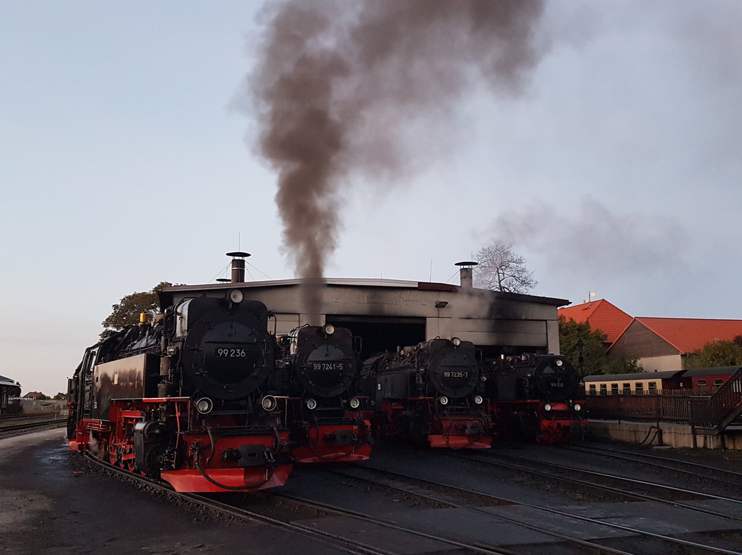 BSW - Kulturgruppe Harzquer- und Brockenbahn, Wernigerode