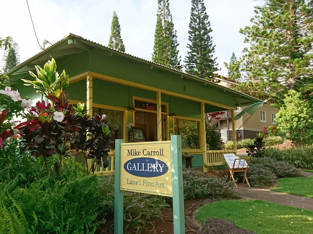 Mike Carroll Gallery-拉奈市必去景点