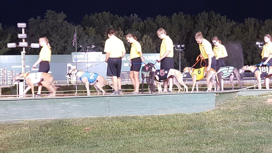 The Iowa Greyhound Park-迪比克必去景点