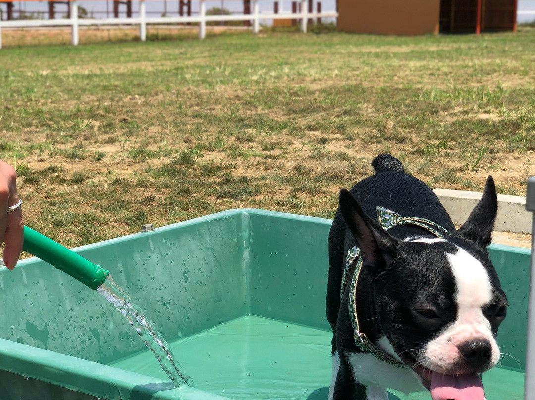 World Ranch-河南町必去景点