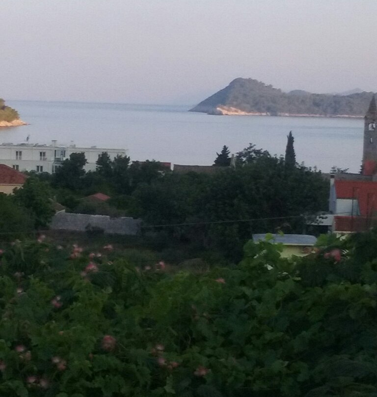 匹萨维克别墅酒店主图