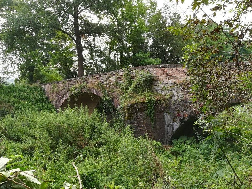 Ponte Di Cimabue景点图片