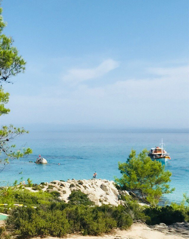 Sarti Paradise主图