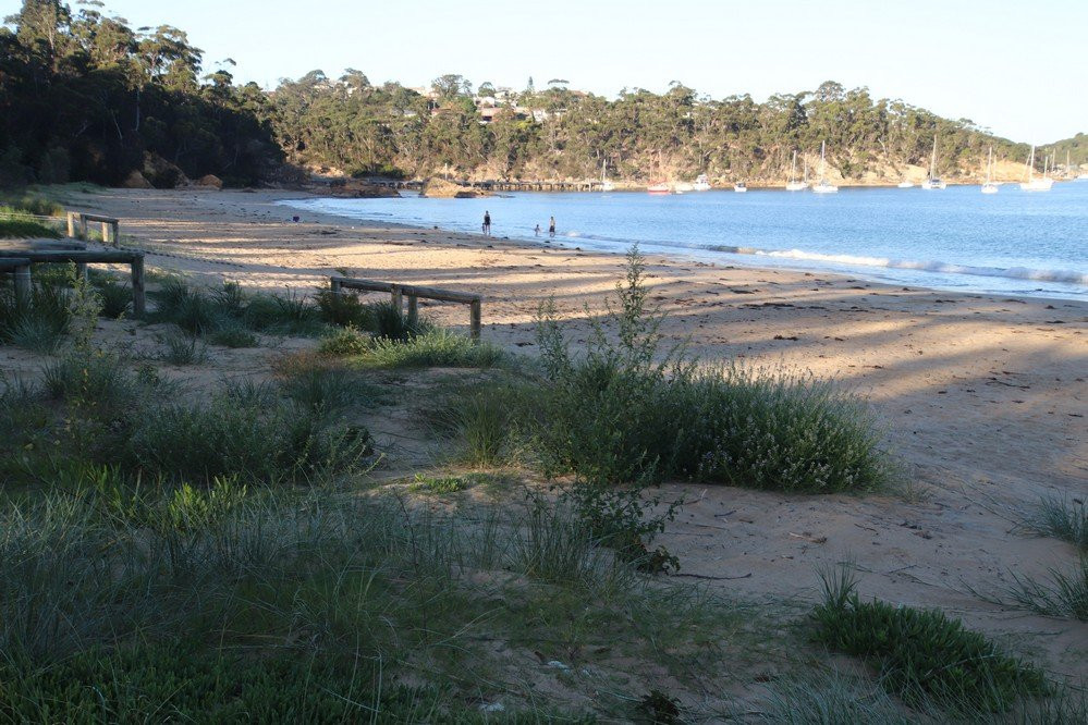 Cocora Beach景点图片