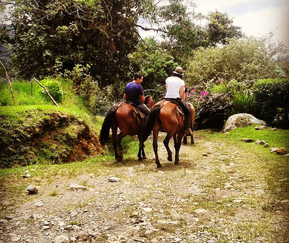 Queveri Horseback Riding Tours景点图片