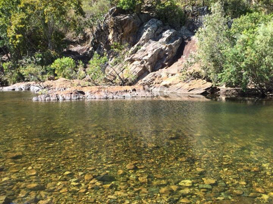 Alligator Falls Track-Alligator Creek必去景点