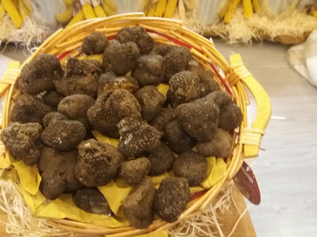 Norcineria Coccia景点图片