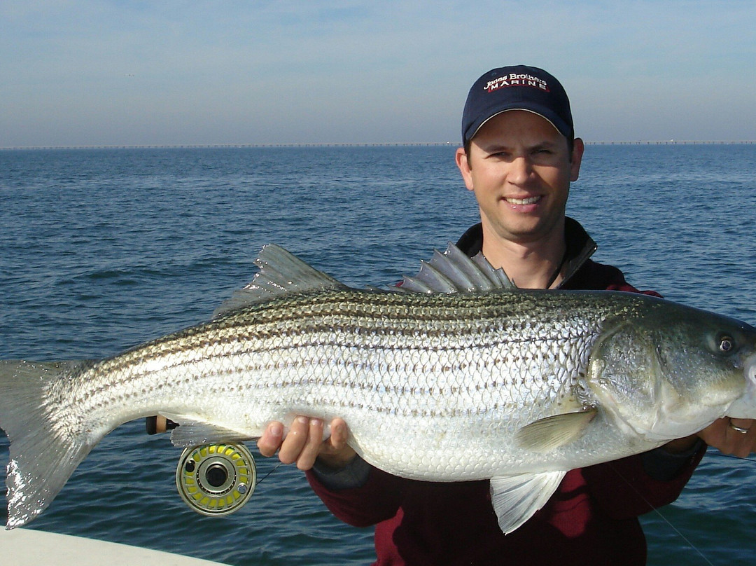 Bay Fly Fishing景点图片
