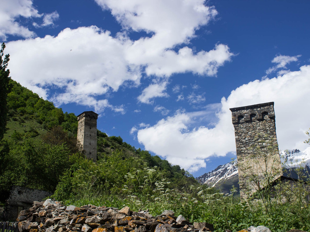 Highlander Travel景点图片