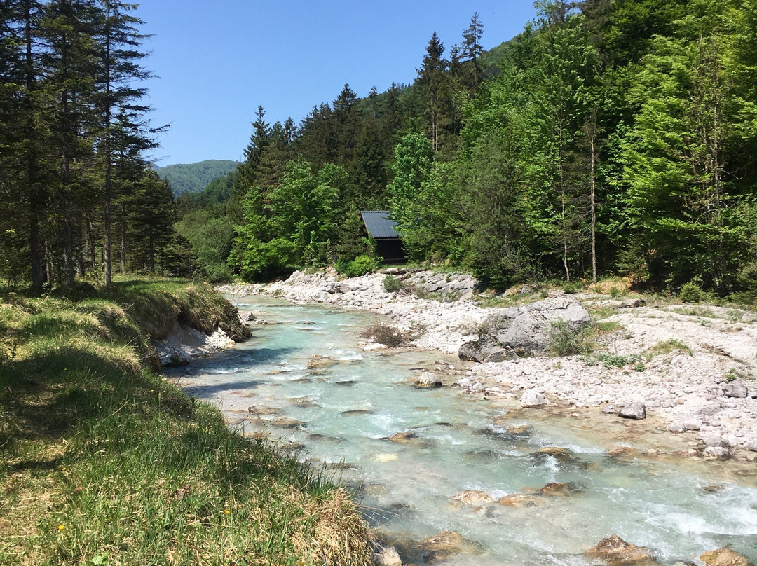 Großer Und Kleiner Ödsee景点图片