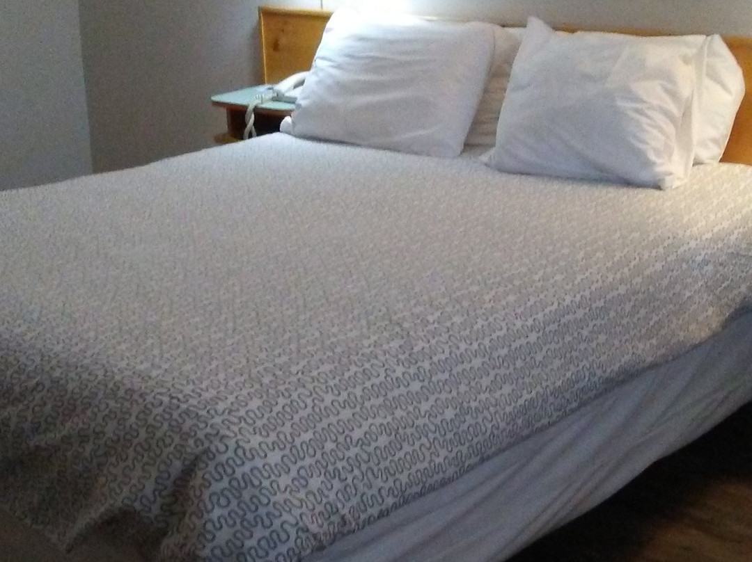 Fireweed Motel主图