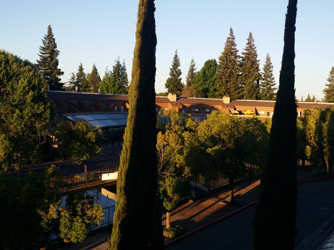 斯托克顿希尔顿酒店主图