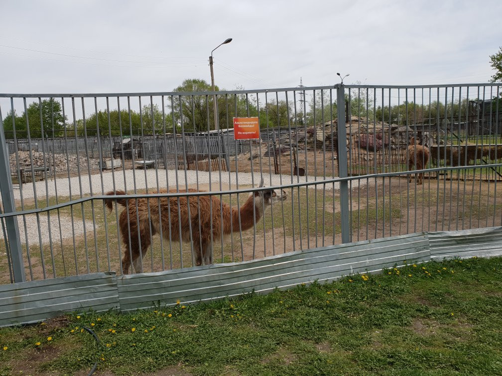 Karaganda State Zoo-加拉干达必去景点
