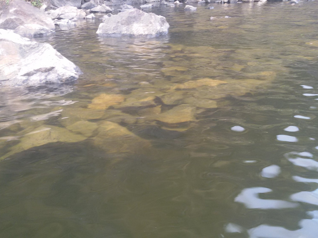 Hill View Park-伊杜基必去景点