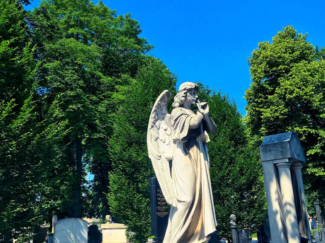 Russian Cemetery (New Cemetery)-贝尔格莱德必去景点