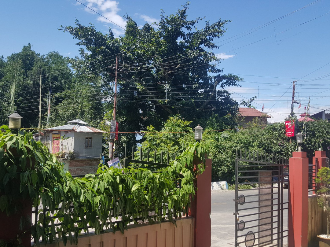 Hotel Mountain View主图