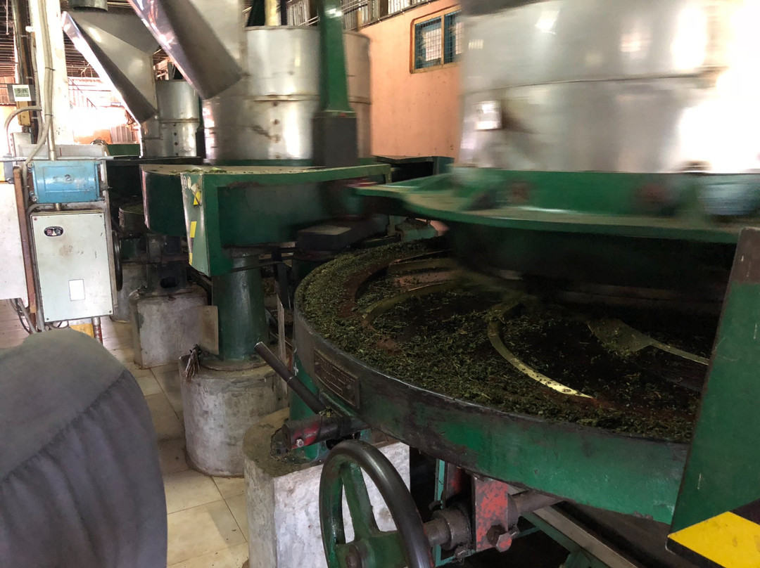 Kinellan Tea Factory景点图片