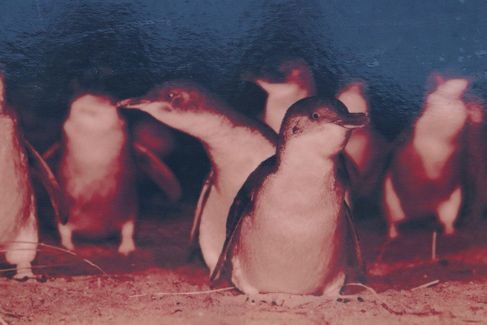 Lillico Beach Conservation Area-Lillico必去景点