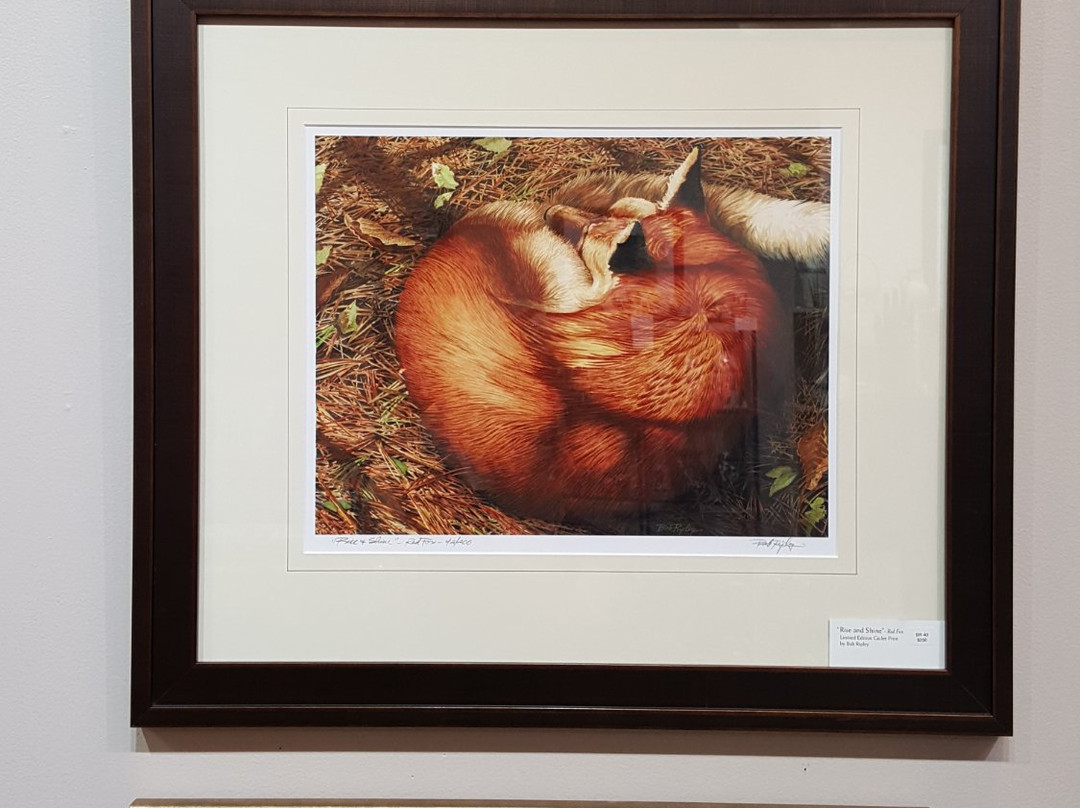 Cazenovia Artisans-Cazenovia必去景点