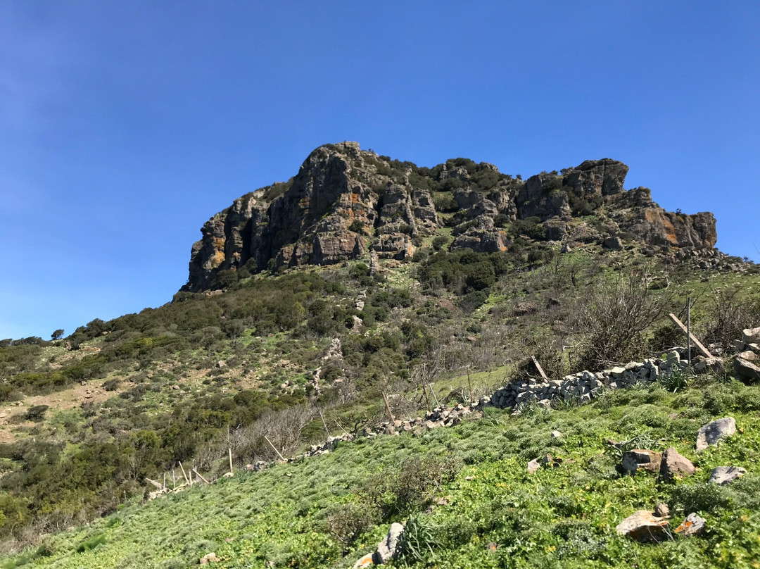 Monte Arcuentu景点图片
