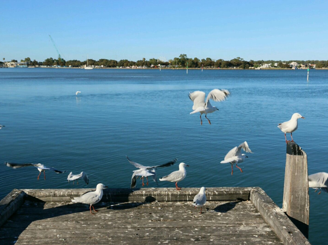 Eastern Foreshore Park景点图片