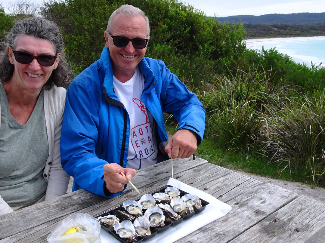 Joy's Tassie Tours-朗塞斯顿必去景点
