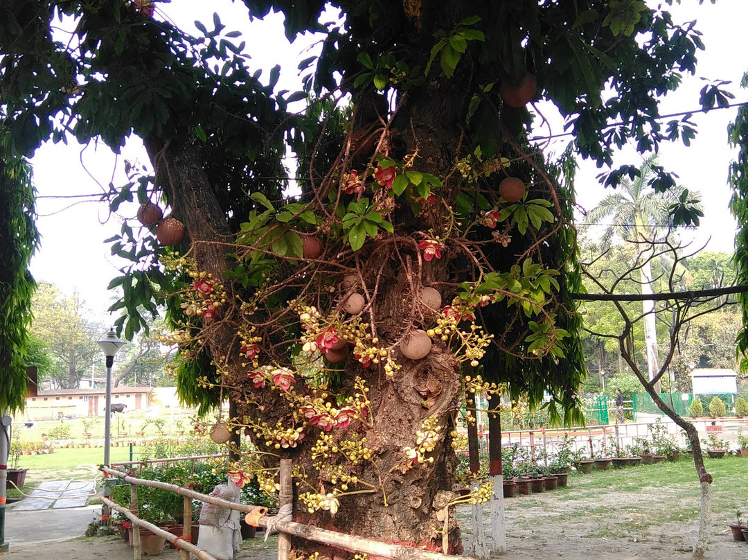 Ramkrishna Mission景点图片