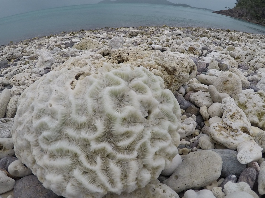 Coral Beach and the Beak, Conway National Park-舒特港必去景点