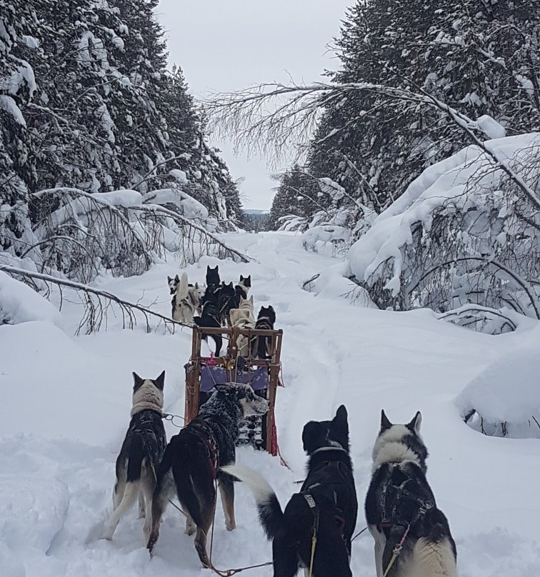 Lapplands Drag - Day Tours-Blattnicksele必去景点