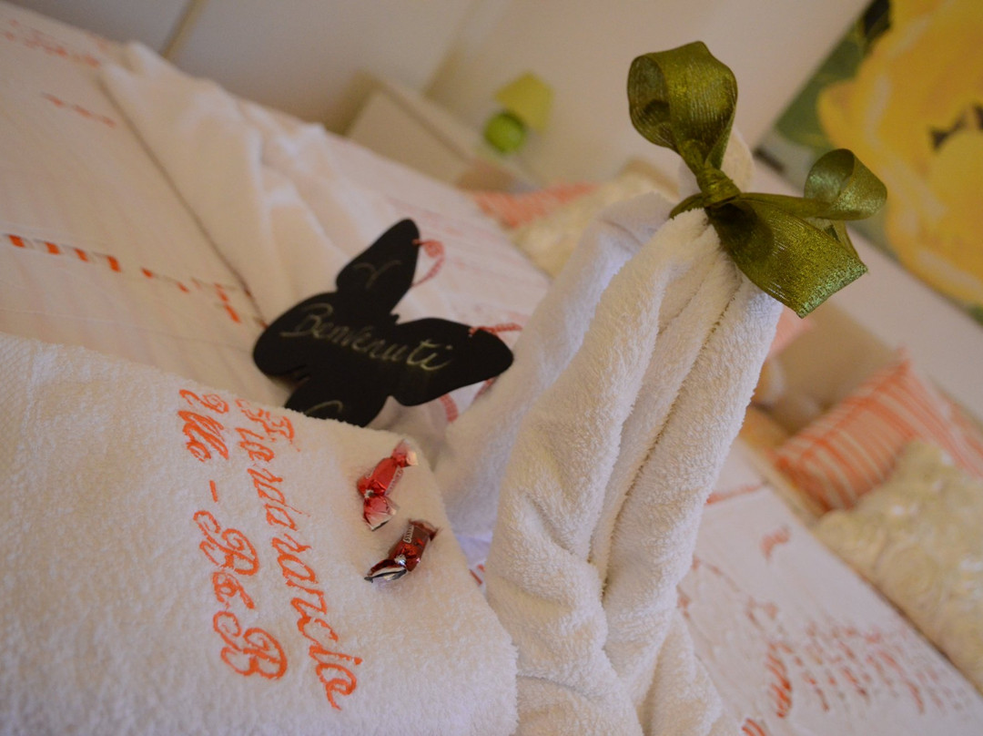 B&B Fiordarancio主图