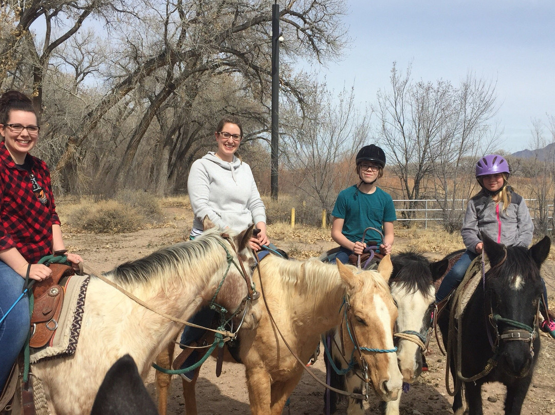 Running Horse Ranch-阿尔伯克基必去景点