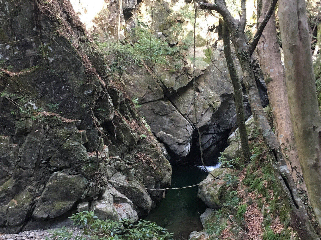 Mt. Inunaki-泉佐野市必去景点