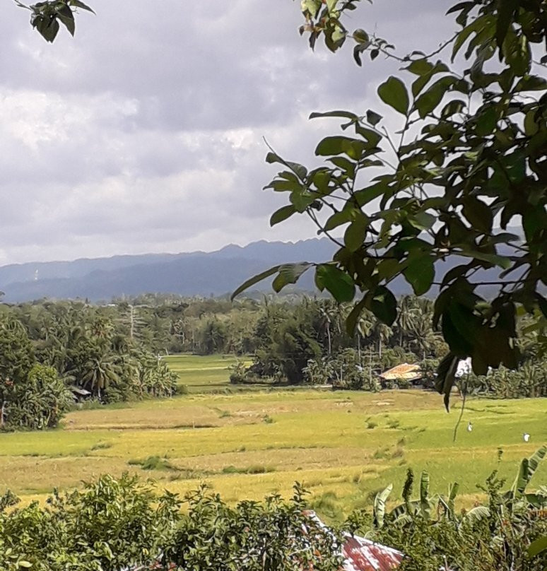 Villa del Carmen Haven Bohol主图