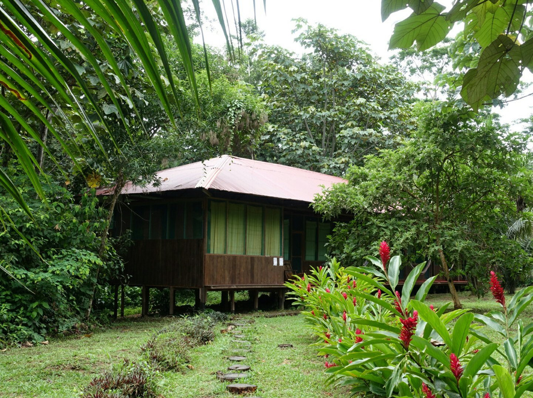 Tambopata Amazon Peru