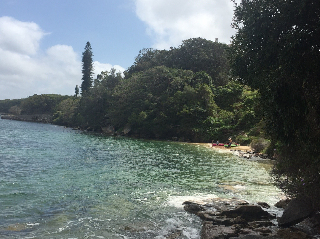 玫瑰湾至尼尔森公园漫步-悉尼必去景点