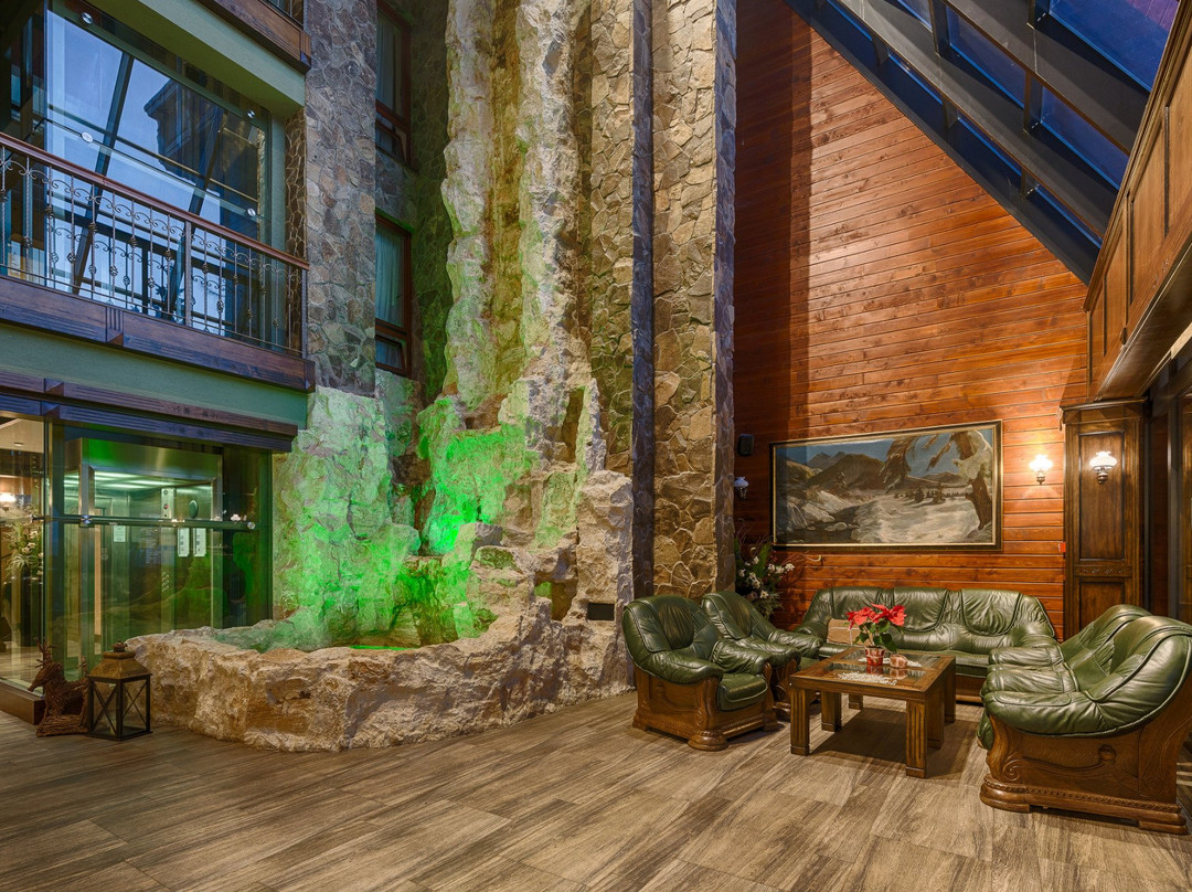 Wellness Hotel Borovica主图