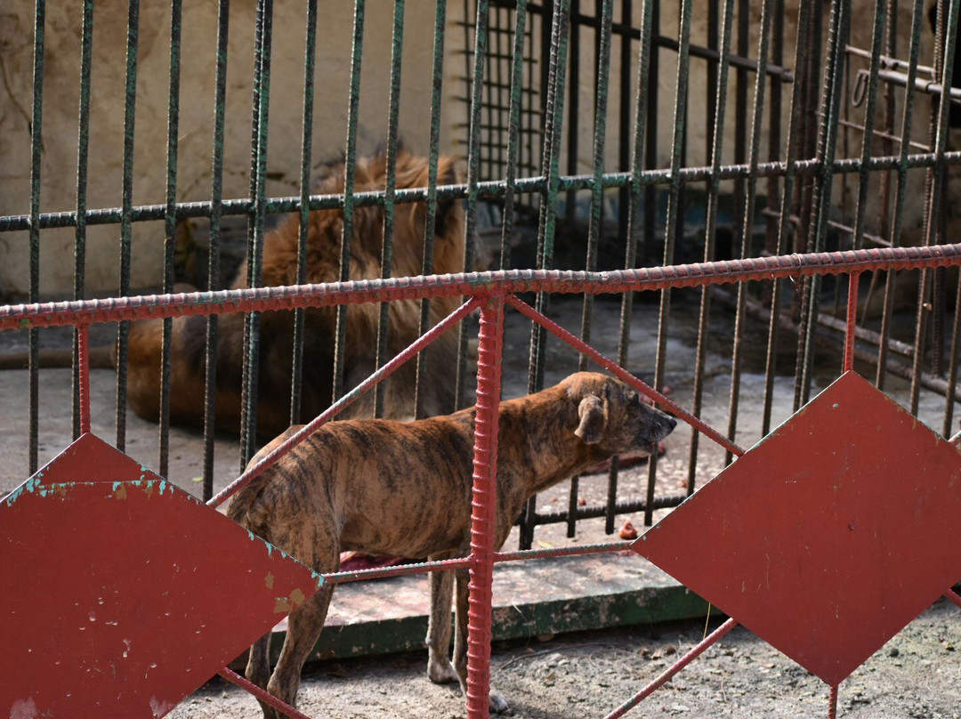 Parque Zoológico El Bosque de Sancti Spíritus景点图片