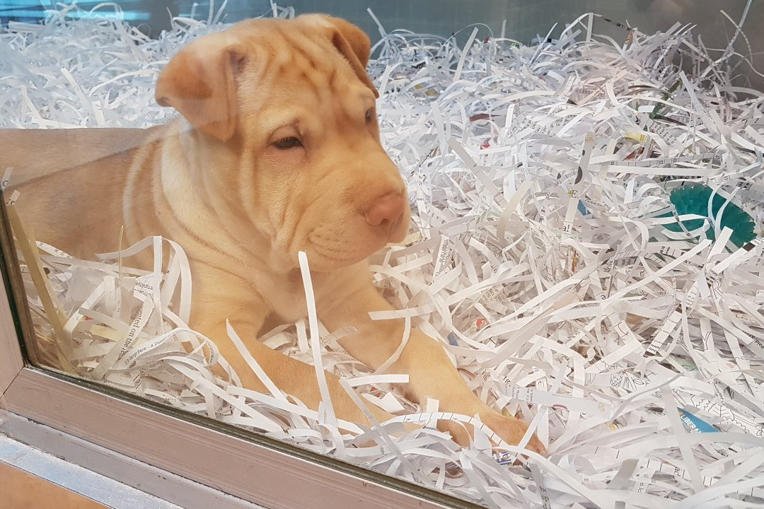 Westfield Helensvale-Helensvale必去景点