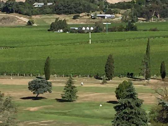 Blackley House B&B主图