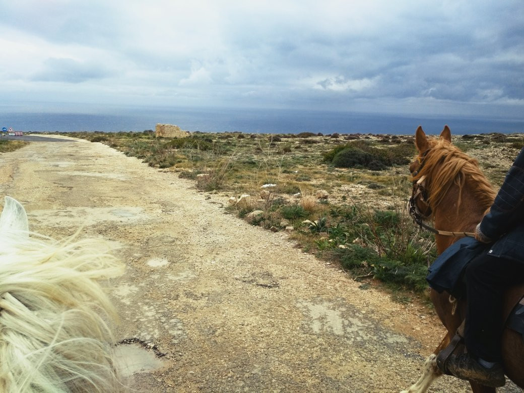 Bidnija Horse Riding-Mosta必去景点