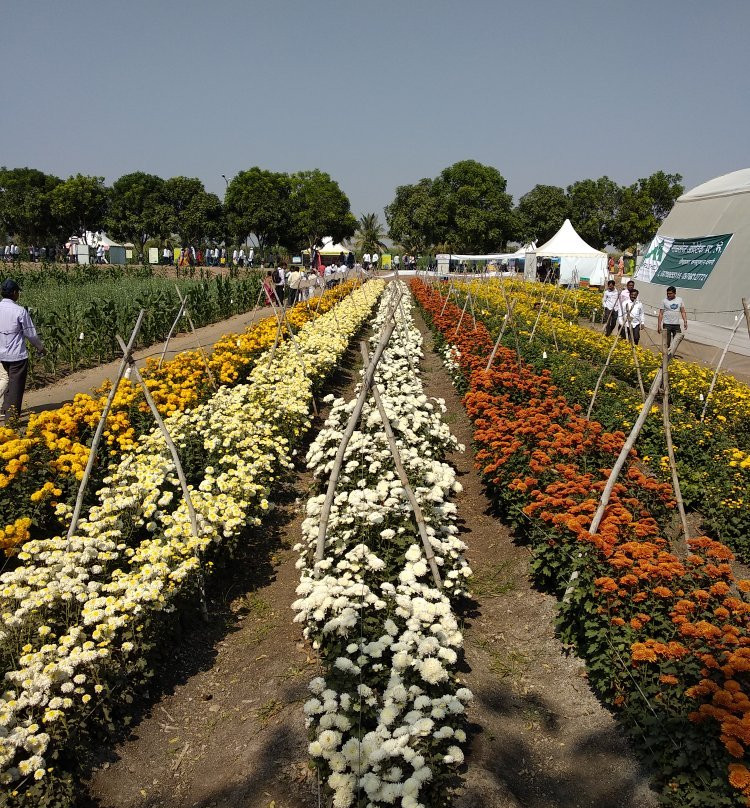 Krishi Vigyan Kendra Baramati景点图片
