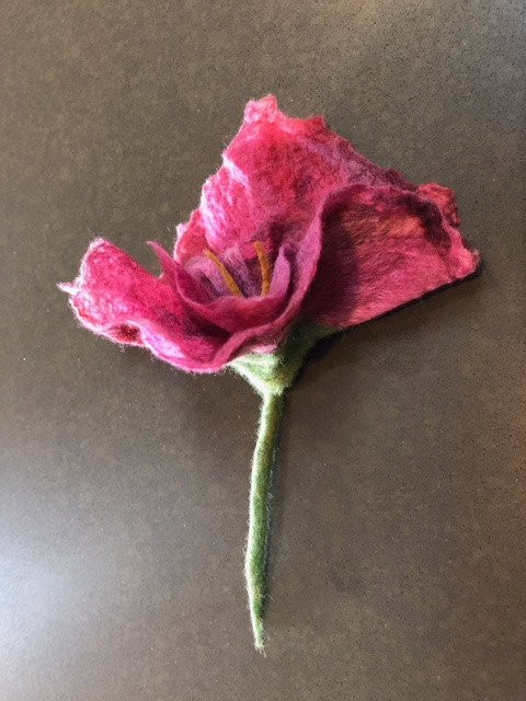 Wide Sky Ranch-圣菲必去景点