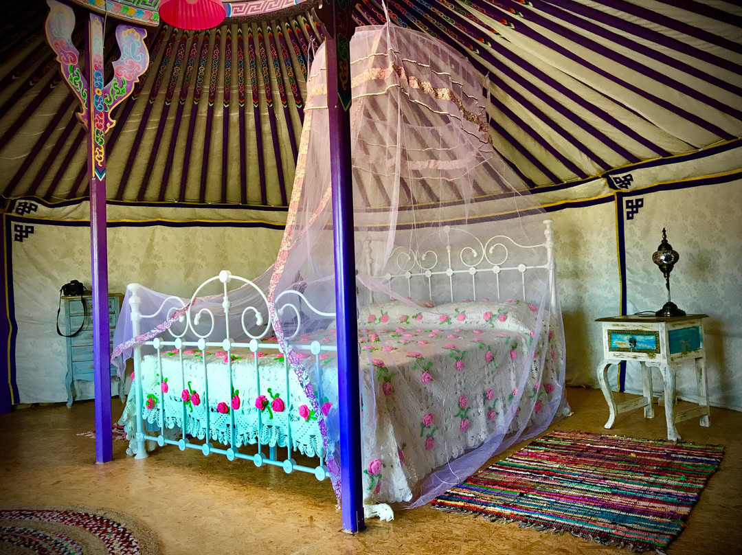 Nirvana Yurts Glamping