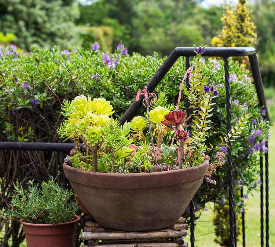 Hosteria de la Colina主图