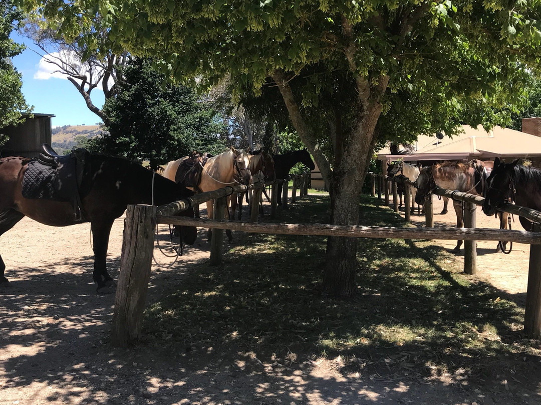 Rubicon Valley Horse Riding-Thornton必去景点