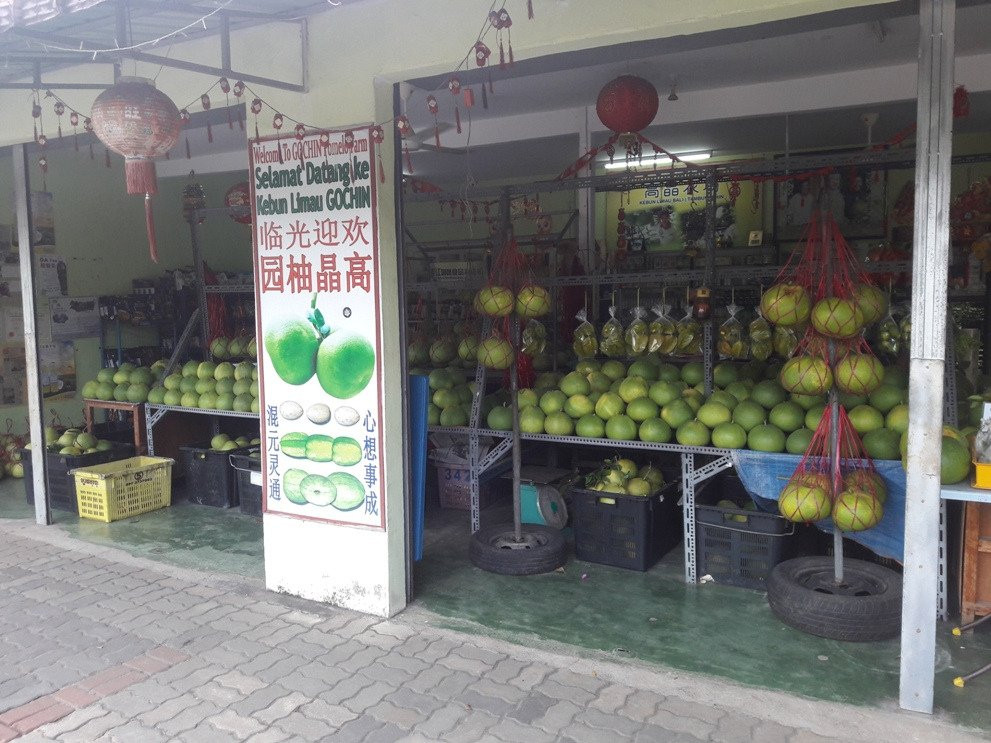 Go Chin Pomelo Nature Park景点图片